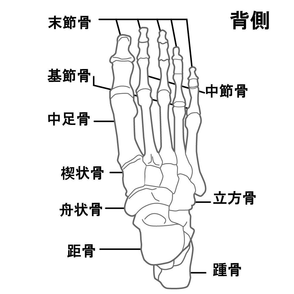 骨端症